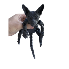 Кіт Сфінкс чорний