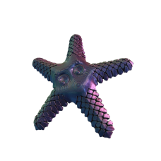 Рухома іграшка Сенді Морська зірка