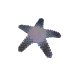 Рухома іграшка Сенді Морська зірка