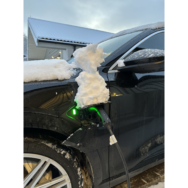 Захисний козирок від снігу для порту зарядки електромобіля портативний Audi E-Tron